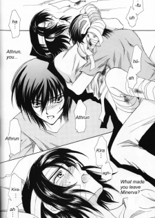 (Mimiket 13) [Yougekishu (Arina Toshimi)] Shakunetsu (Gundam SEED DESTINY) [English] [Arigatomina] - page 21