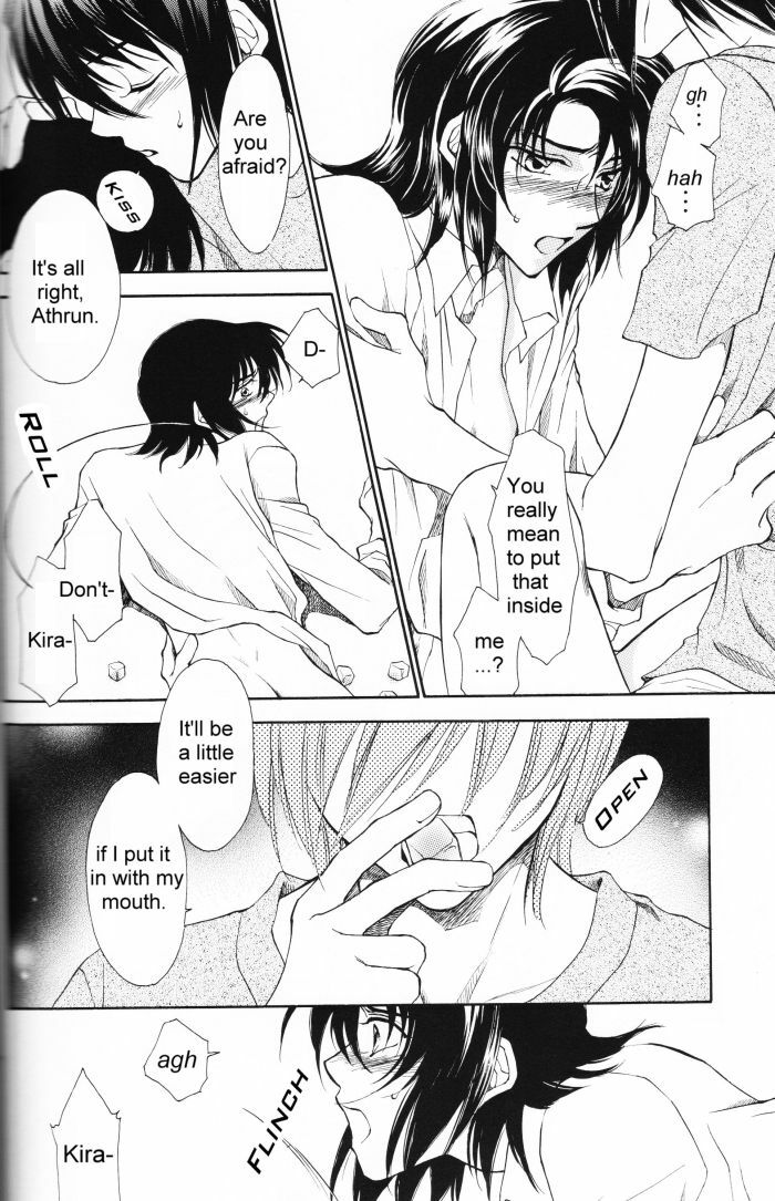 [Yougekishu (Arina Toshimi)] Charm (Kidou Senshi Gundam SEED) [English] [Arigatomina] page 13 full