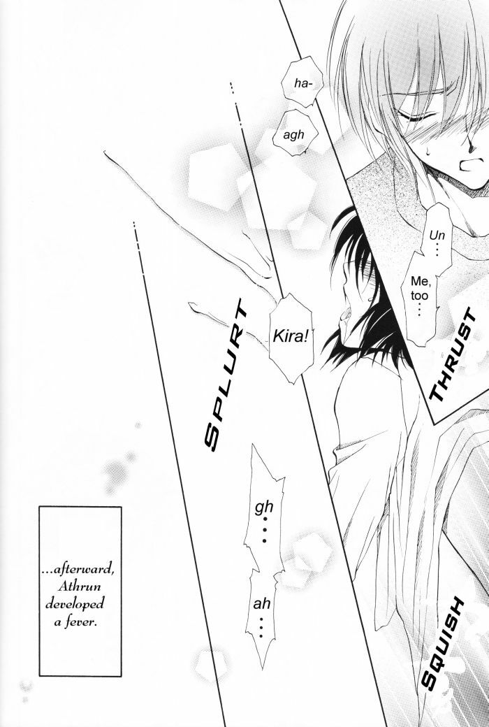 [Yougekishu (Arina Toshimi)] Charm (Kidou Senshi Gundam SEED) [English] [Arigatomina] page 17 full