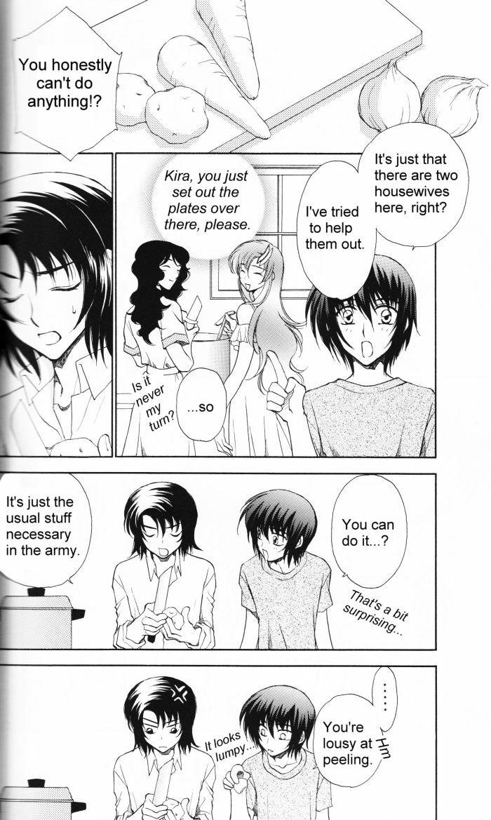 [Yougekishu (Arina Toshimi)] Charm (Kidou Senshi Gundam SEED) [English] [Arigatomina] page 5 full