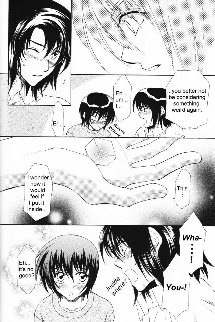 [Yougekishu (Arina Toshimi)] Charm (Kidou Senshi Gundam SEED) [English] [Arigatomina] page 9 full