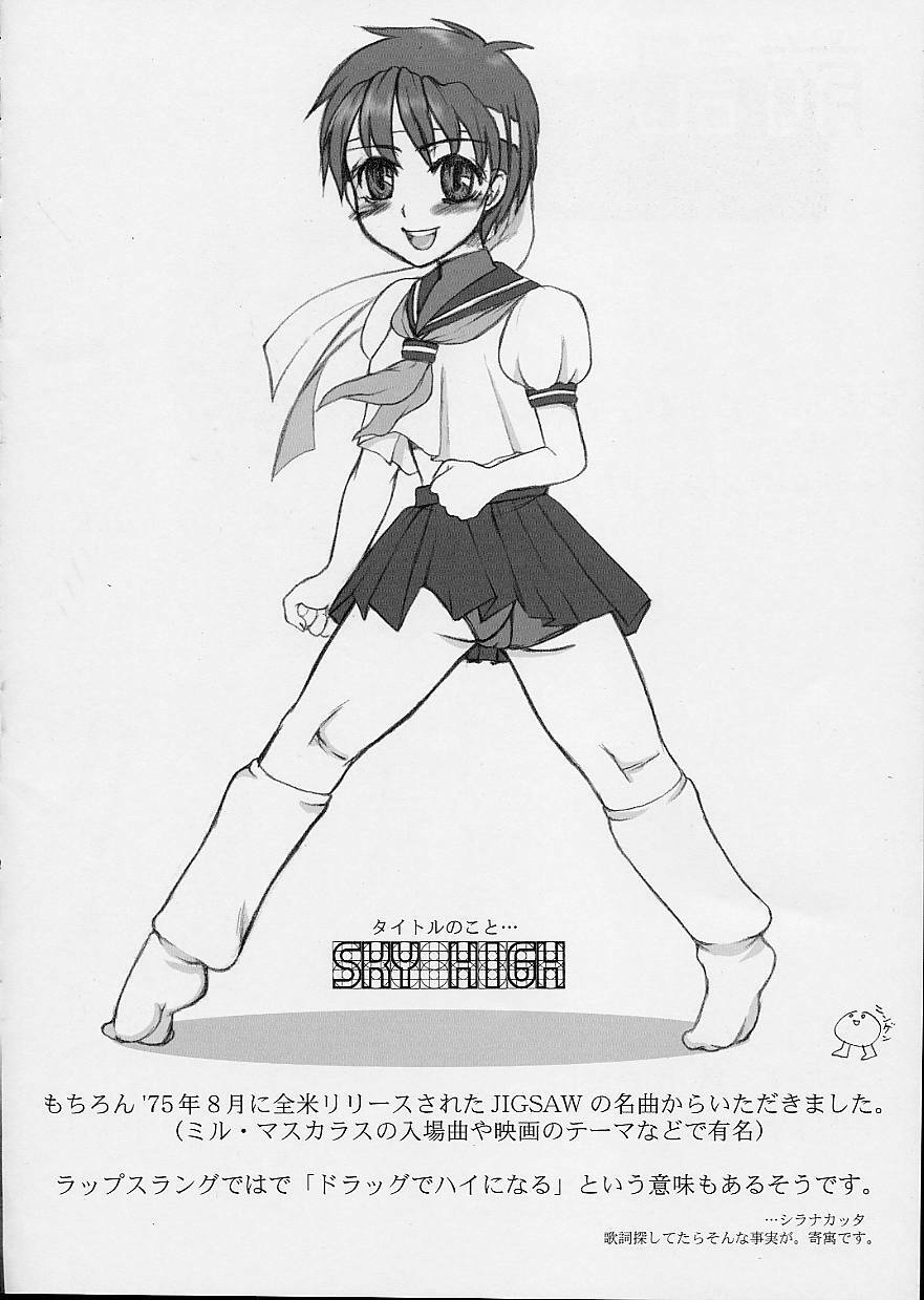 (C62) [Sarurururu (Doru Riheko)] Holic 2 Sky High (Street Fighter) page 22 full