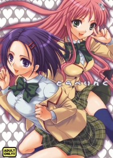 (SC37) [Takumi na Muchi] Traveling (To LOVE-Ru) [Spanish] - page 2