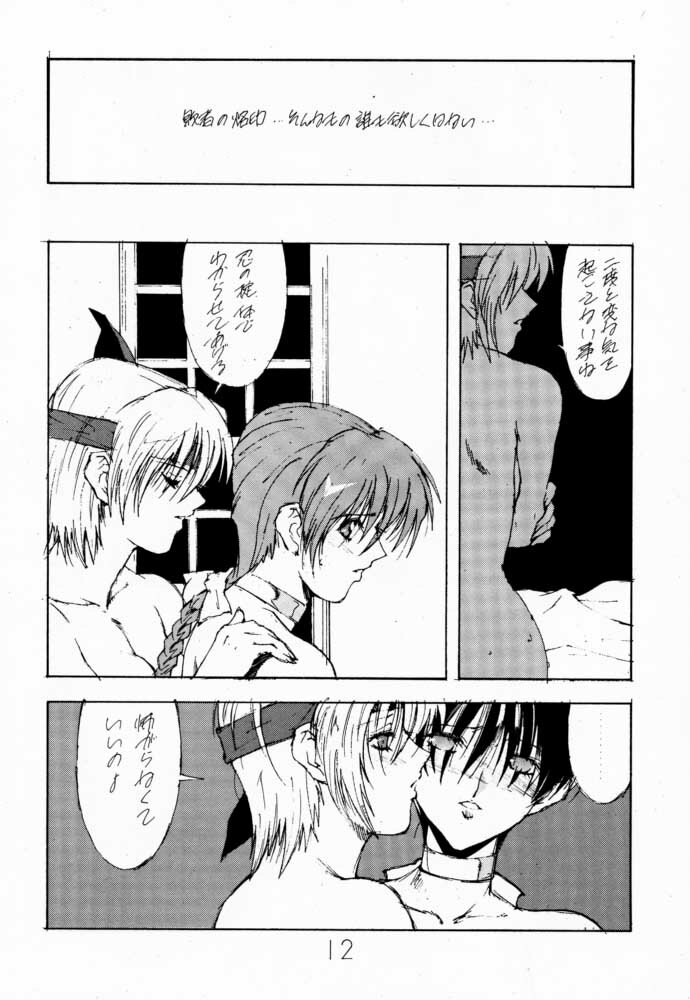 (C56) [Shibarism (Shibari Kana)] DA (Dead or Alive) page 11 full