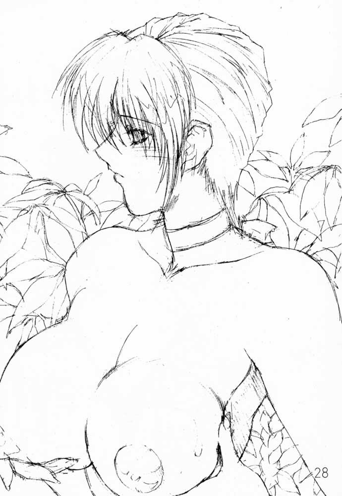 (C56) [Shibarism (Shibari Kana)] DA (Dead or Alive) page 27 full