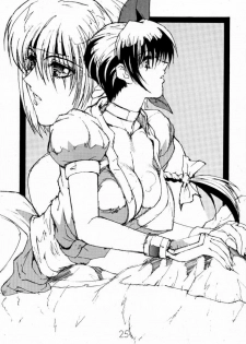 (C56) [Shibarism (Shibari Kana)] DA (Dead or Alive) - page 24
