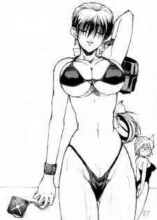(C56) [Shibarism (Shibari Kana)] DA (Dead or Alive) - page 26