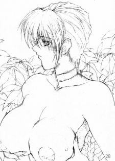 (C56) [Shibarism (Shibari Kana)] DA (Dead or Alive) - page 27