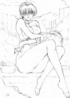 (C56) [Shibarism (Shibari Kana)] DA (Dead or Alive) - page 28