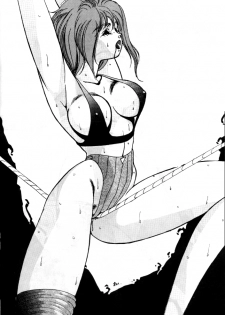 [Minies Club (Yuri Ai)] Minies Club 18 - Eyes (Dangaioh, Cutey Honey, Machine Robo) - page 30