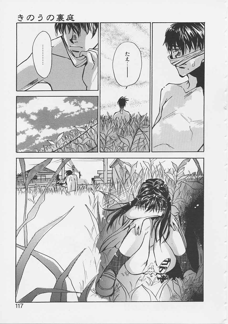 [Saku Yukizou] Yume no Youna page 114 full