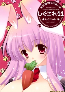 [Shigunyan (Shigunyan)] Shigukore 11 (Touhou Project)