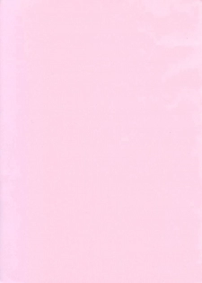 [Mugendai] THE Tora (Fate/Stay Night) - page 2