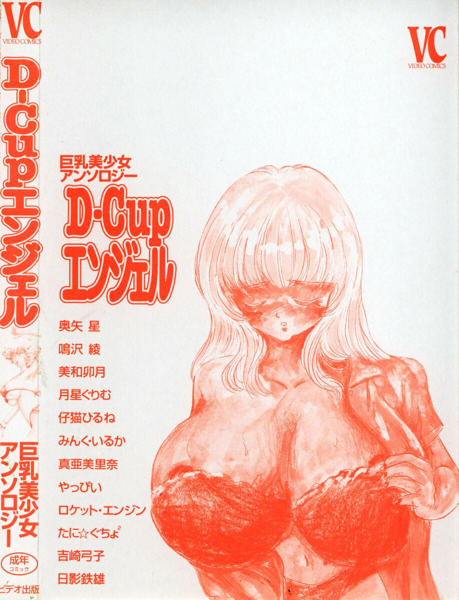 [Anthology] Kyonyuu Bishoujo Anthology D-Cup Angel page 166 full
