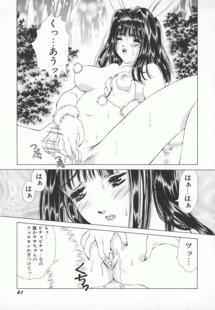 [Yokomizo Satori] PINK PEARL Kougeki page 64 full