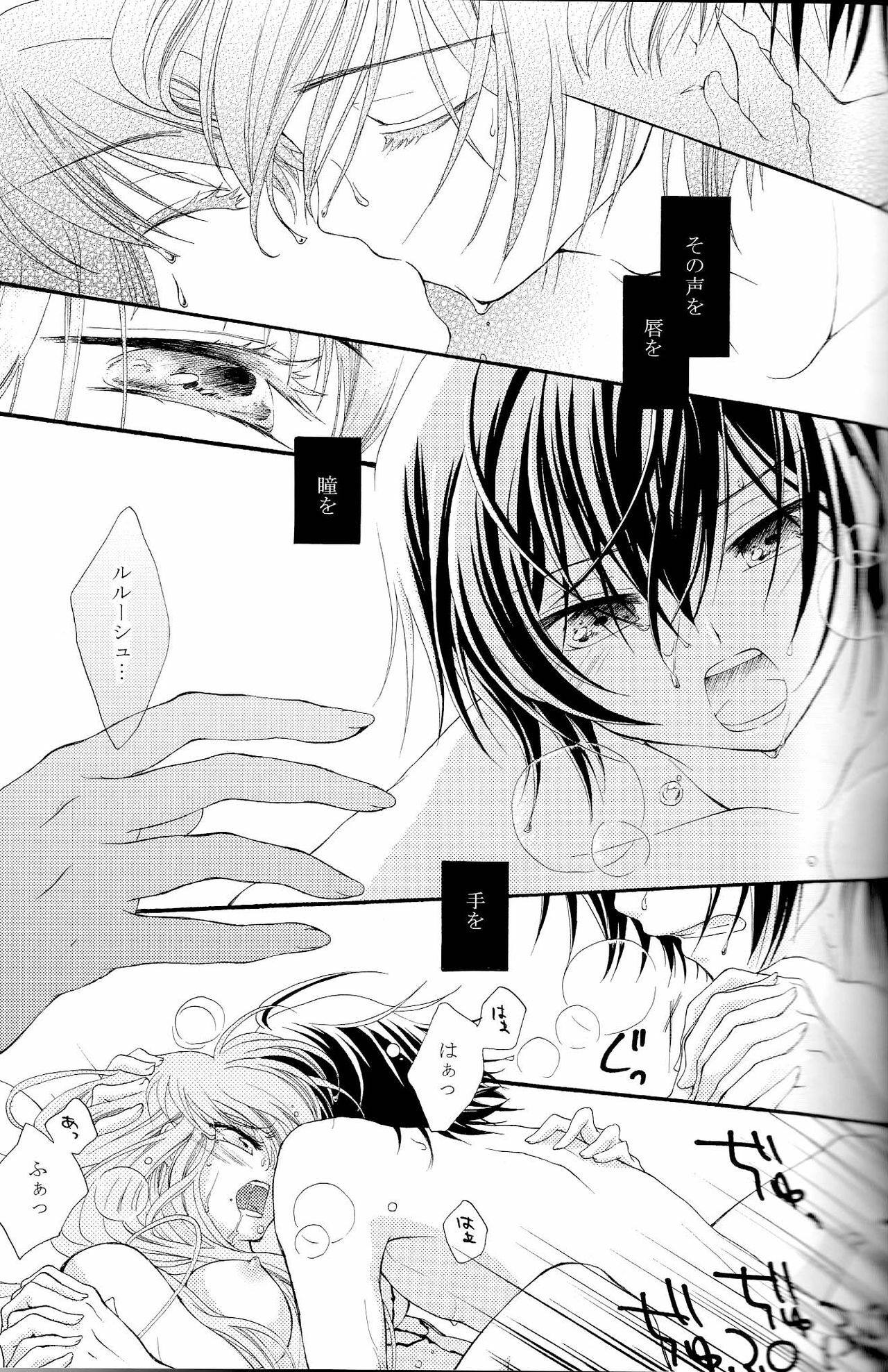 [APRICOT TEA] The last love letter presented to my dear only partner. (Code Geass) page 12 full