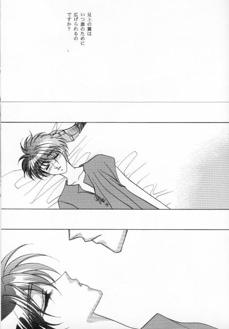 ONE SIDE WING (Escaflowne) [Allen X Van - Folken X Van] YAOI page 35 full