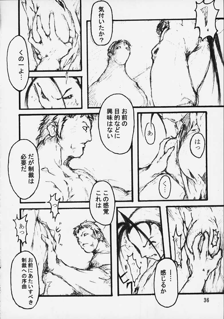 [OVER FLOWS] CAPsure COMic (Street Fighter) page 34 full