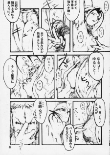 [OVER FLOWS] CAPsure COMic (Street Fighter) - page 35