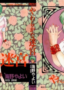 [Umino Yayoi] yawarakana meikyuu