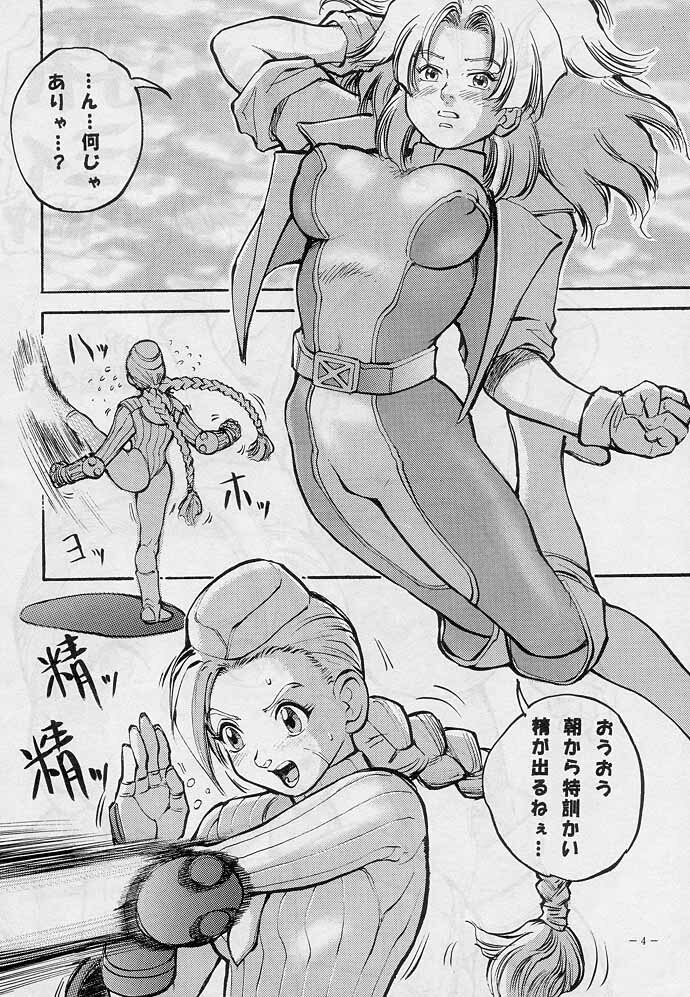 (C51) [D.G.S (Sengoku-kun)] Sengoku 2 (King of Fighters, Street Fighter) page 3 full