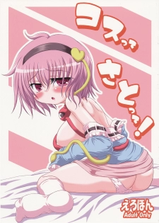 (C76) [Schwester (Inasaki Shirau) Cos tte Sato tte! (Touhou Project)