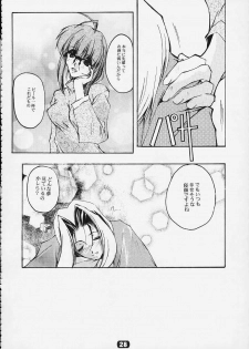 (CR26) [RYU-SEKI-DO (Nagare Hyo-go)] CompleX Pack 2 (Comic Party) - page 24