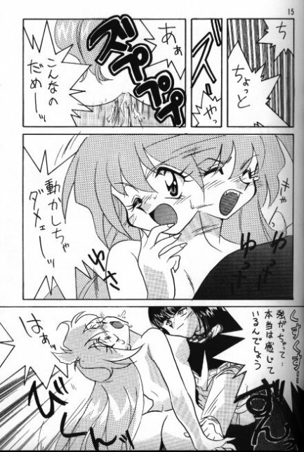 [Ginmomodou (Mita Satomi)] Slayers Adult 5 (Slayers) page 13 full