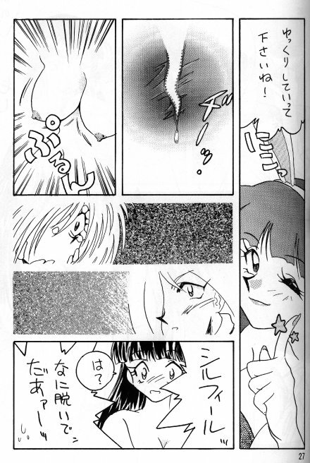 [Ginmomodou (Mita Satomi)] Slayers Adult 5 (Slayers) page 25 full