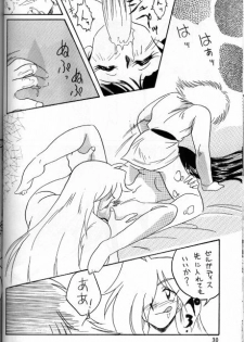 [Ginmomodou (Mita Satomi)] Slayers Adult 5 (Slayers) - page 28