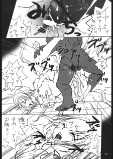 (C67) [Kobiran House (House Kobiran)] Nantai Kansoku (Futari wa PreCure) - page 19