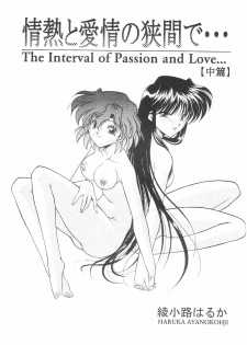(C64) [ROSE WATER (Haruka Ayanokouji)] ROSE WATER 17 ROSE OIL (Bishoujo Senshi Sailor Moon) - page 10