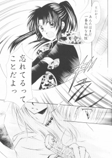(C70) [Sakurakan (Seriou Sakura)] Ryuusei Ryodan (Inuyasha) - page 21
