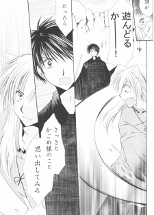 (C70) [Sakurakan (Seriou Sakura)] Ryuusei Ryodan (Inuyasha) - page 27