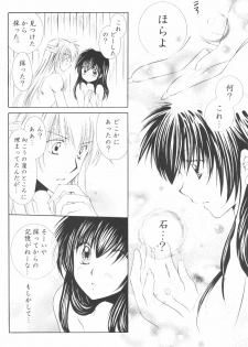 (C70) [Sakurakan (Seriou Sakura)] Ryuusei Ryodan (Inuyasha) - page 44