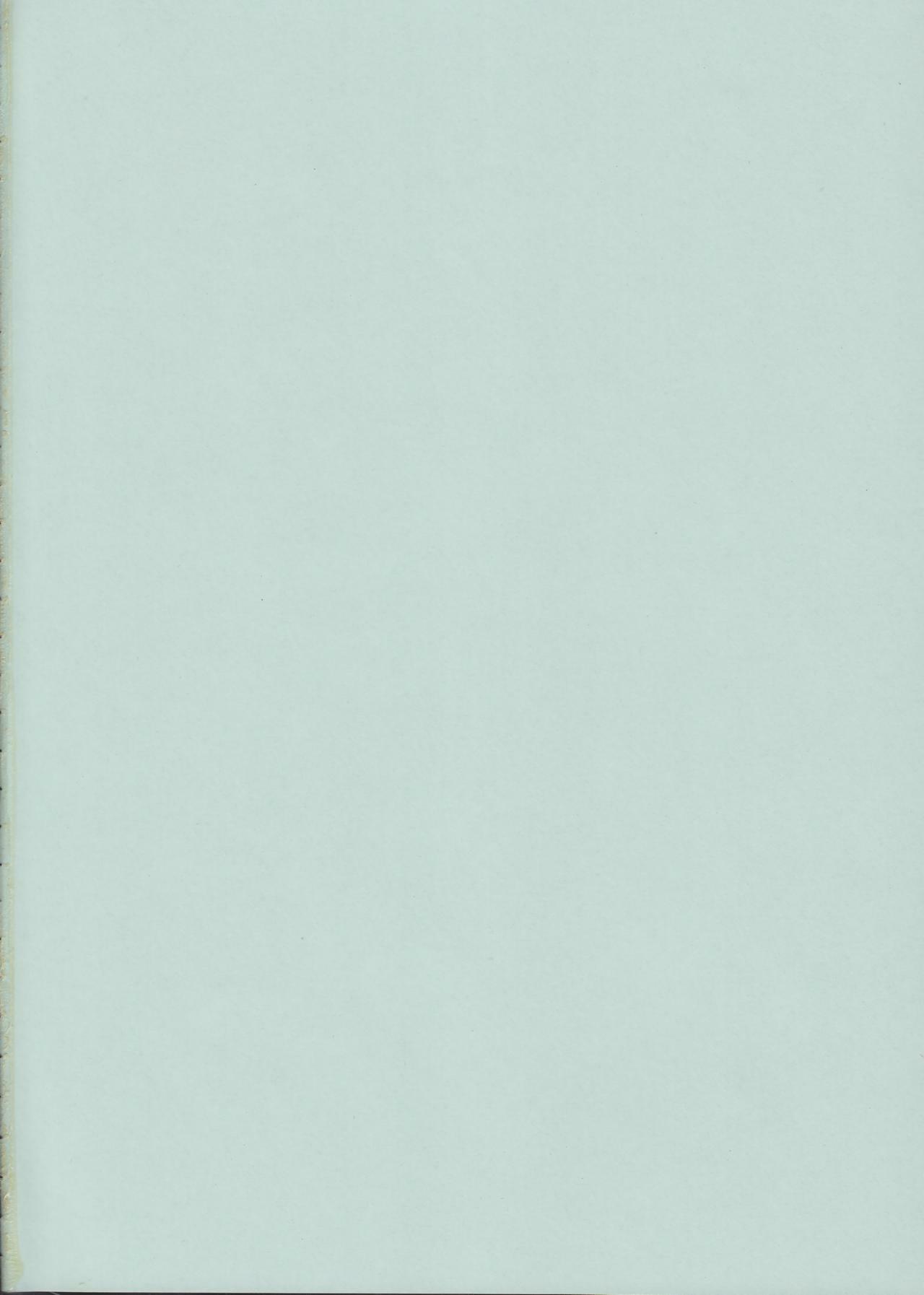 (COMITIA88) [Raiden Labo (Raiden)] Peperoncino page 29 full