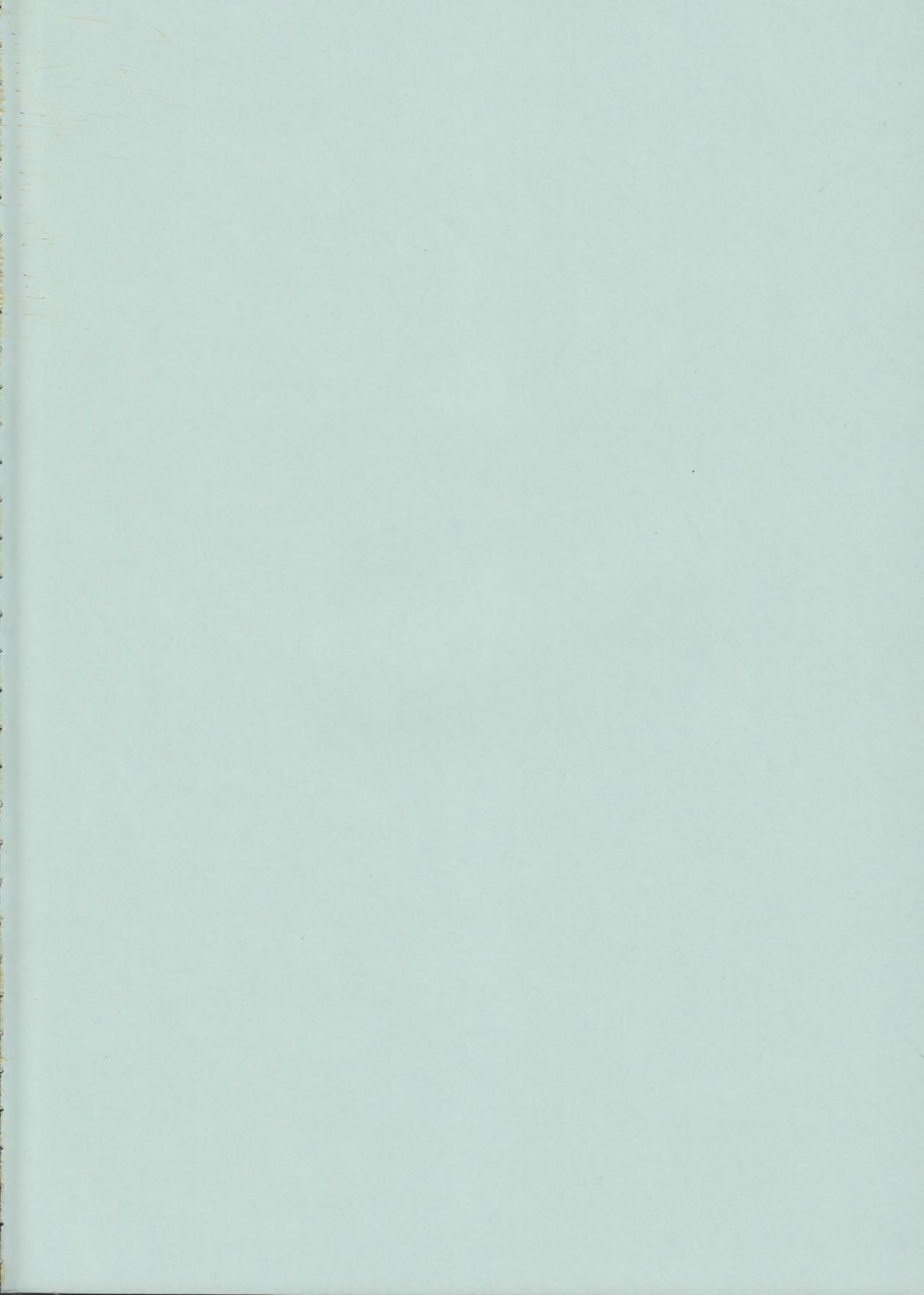 (COMITIA88) [Raiden Labo (Raiden)] Peperoncino page 3 full