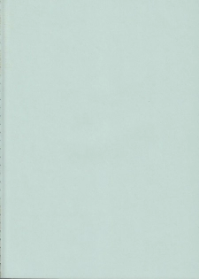 (COMITIA88) [Raiden Labo (Raiden)] Peperoncino - page 3