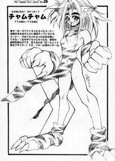 [Kikyakudou (Karateka-VALUE)] EDGE ROAD (Soul Calibur) - page 25