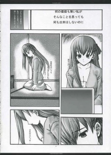 [CHRONOLOG, R-Works] A moonlit garden (Tsukihime,Fate/Stay Night) - page 25