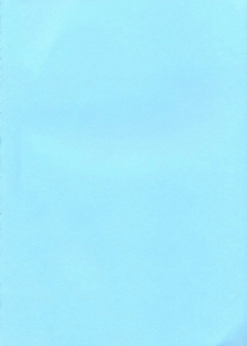 [BEAT-POP (Osaki Mirai)] The Great Escape - page 3