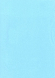 [BEAT-POP (Osaki Mirai)] The Great Escape - page 43