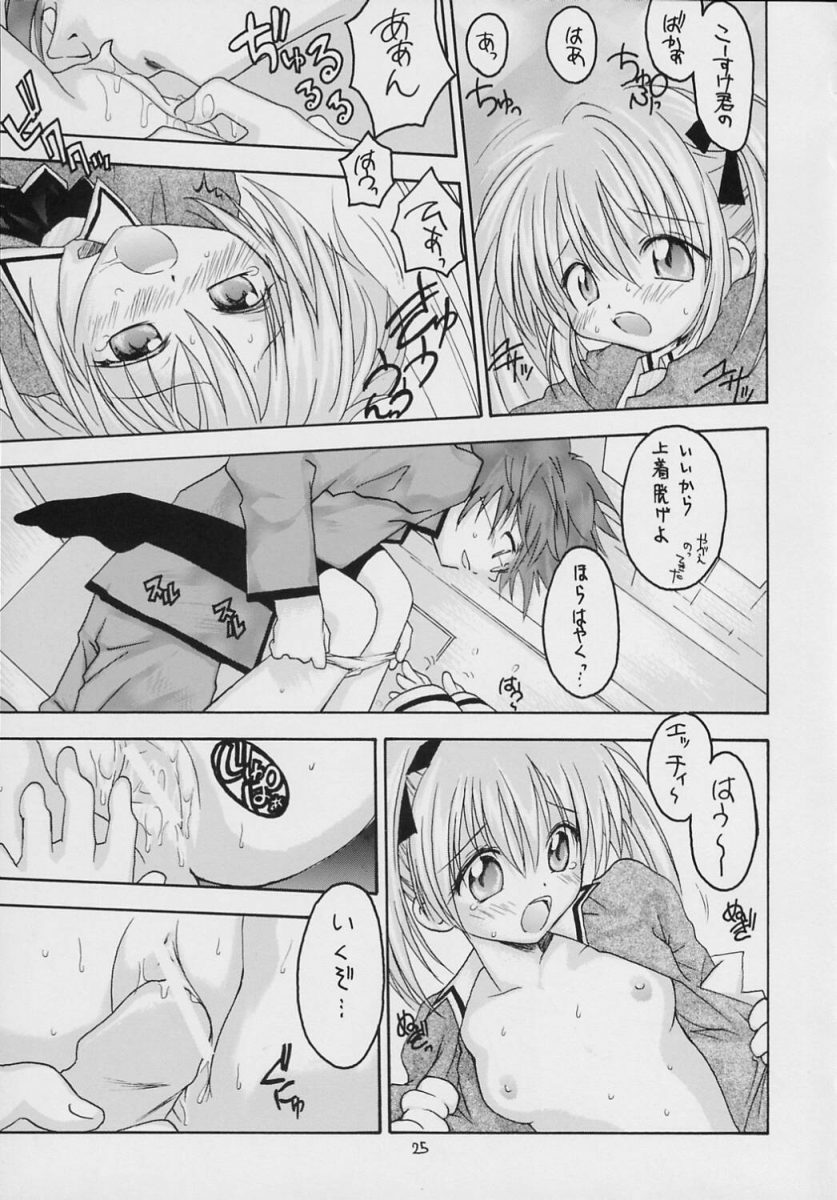 (C69) [RED RIBBON REVENGER (Makoushi)] Valhalla ~ Dainishou~ Fuyu no Arashi (Spiral) page 24 full