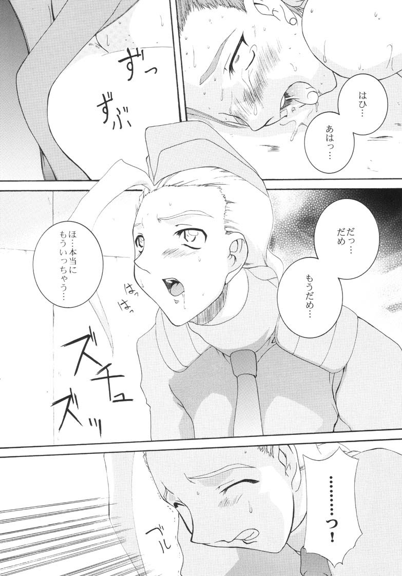 (C60) [F.A (Honoutsukai)] Haru VS (Street Fighter, King of Fighters) page 24 full