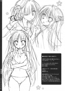 (C76) [Kokikko (Sesena Yau)] Athens (Hayate no Gotoku!) - page 18