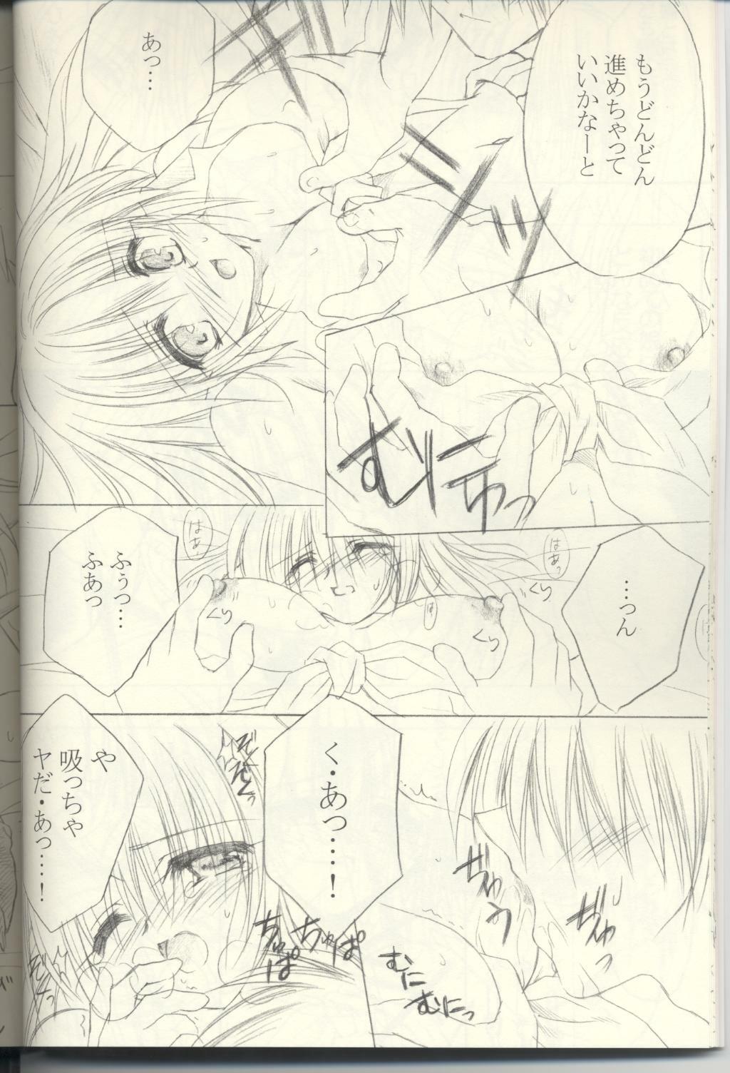 (C63) [UNISEX BLEND (Fujimiya Misuzu)] Ragnakko. 2 (Ragnarok Online) page 11 full
