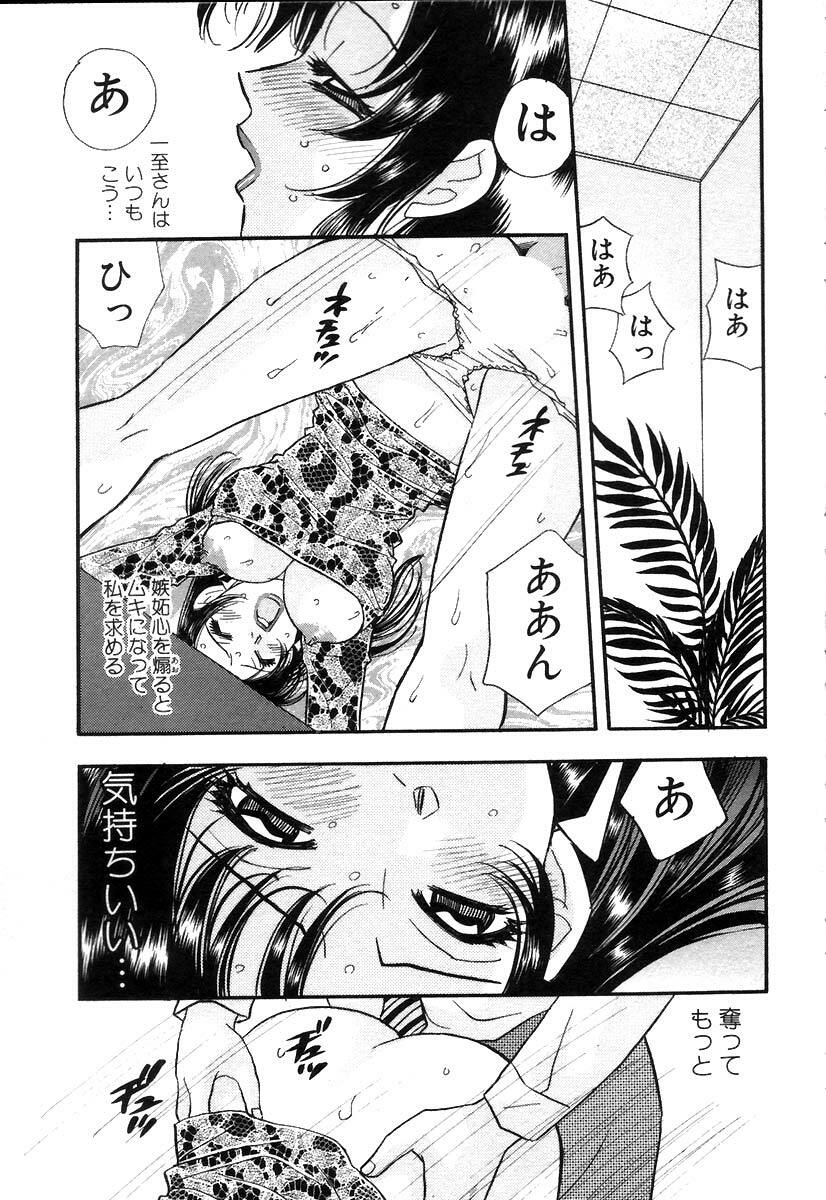 [Komotoda Emai] Hisho de Gozaimasu page 142 full