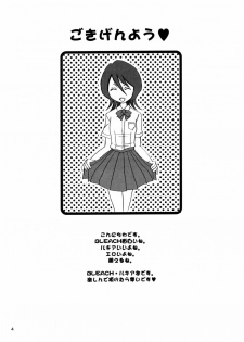 (CR31) [NIKOPONDO (Aoyama Reo)] GRATEFUL DEAD (BLEACH) - page 3
