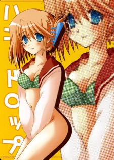 (C68) [TAIRIKUDOUMEIGUN (Kiryuu Chihaya)] Honey Drop (ToHeart 2) - page 2