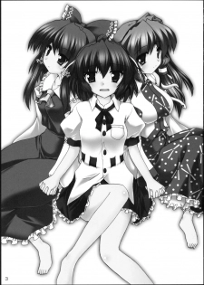 (C76) [Yuugen Jikkou (Gonzaburo-)] YabuHebi!? (Touhou Project) - page 2